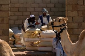 Kamelmarkt Omdurman
