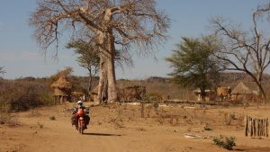 Dorf mit Baobab